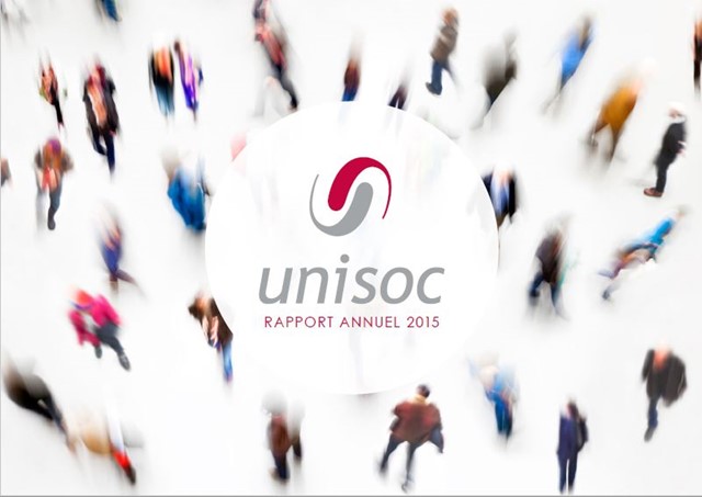 Rapport annuel 2015.JPG